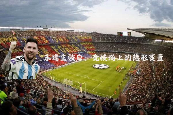 东道主效应：竞技场上的隐形变量